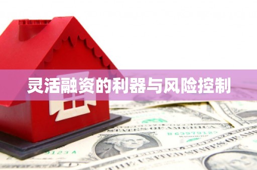 盐湖灵活融资的利器与风险控制