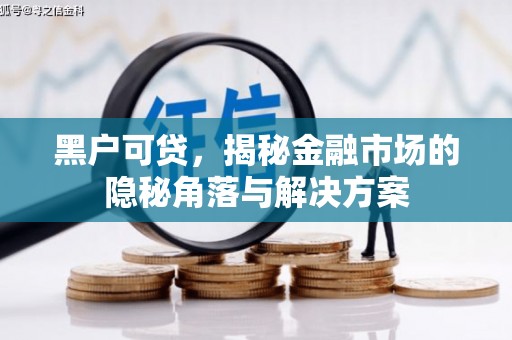 盐湖黑户可贷，揭秘金融市场的隐秘角落与解决方案