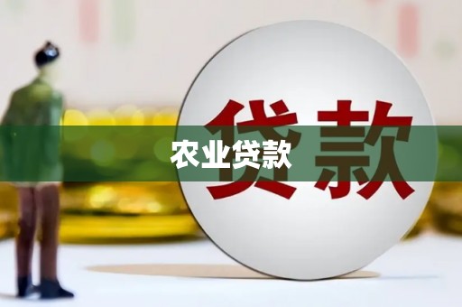 盐湖农业贷款