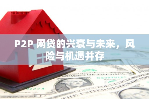 盐湖P2P 网贷的兴衰与未来，风险与机遇并存