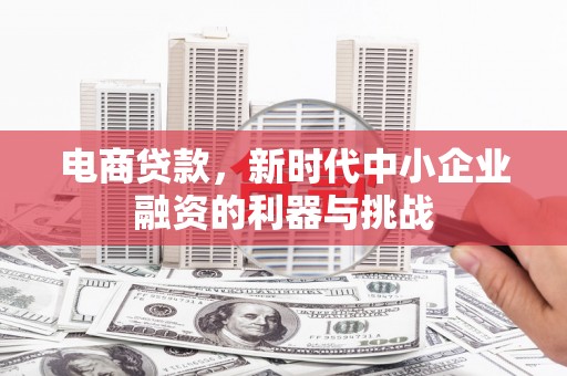 盐湖电商贷款，新时代中小企业融资的利器与挑战