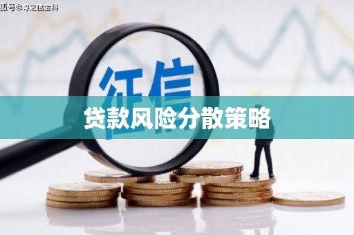 盐湖贷款风险分散策略