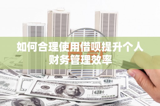 盐湖如何合理使用借呗提升个人财务管理效率