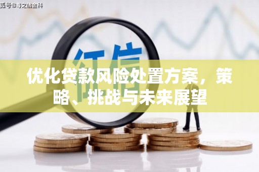 盐湖优化贷款风险处置方案，策略、挑战与未来展望