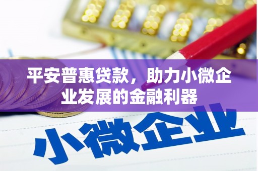 盐湖平安普惠贷款，助力小微企业发展的金融利器
