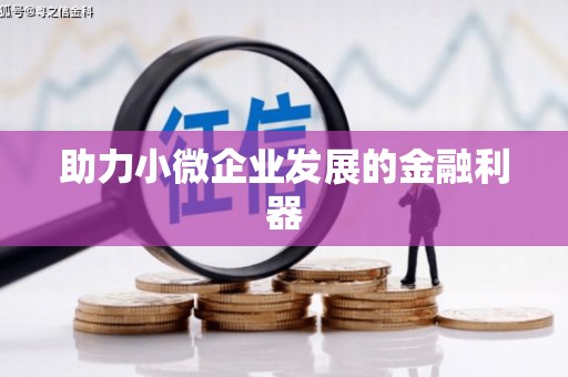 盐湖助力小微企业发展的金融利器