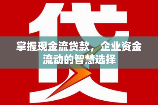 盐湖掌握现金流贷款，企业资金流动的智慧选择