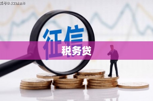 盐湖税务贷