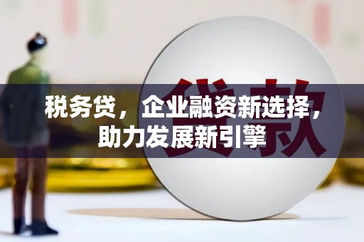 盐湖税务贷，企业融资新选择，助力发展新引擎