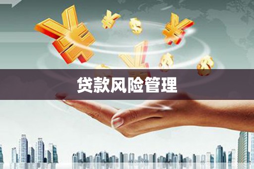盐湖贷款风险管理