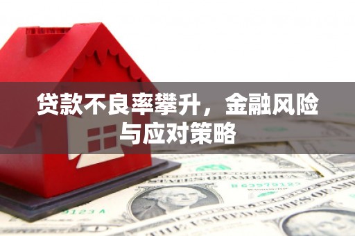 盐湖贷款不良率攀升，金融风险与应对策略