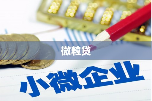 盐湖微粒贷
