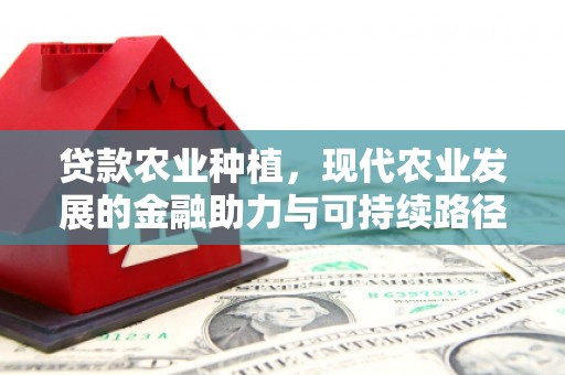 盐湖贷款农业种植，现代农业发展的金融助力与可持续路径