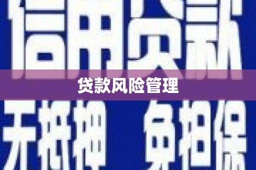 盐湖贷款风险管理