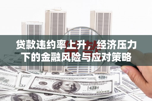 盐湖贷款违约率上升，经济压力下的金融风险与应对策略