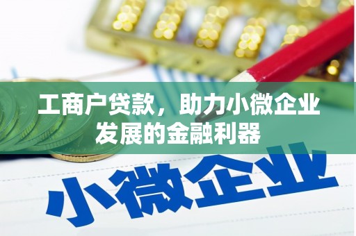 盐湖工商户贷款，助力小微企业发展的金融利器