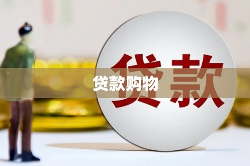 盐湖贷款购物