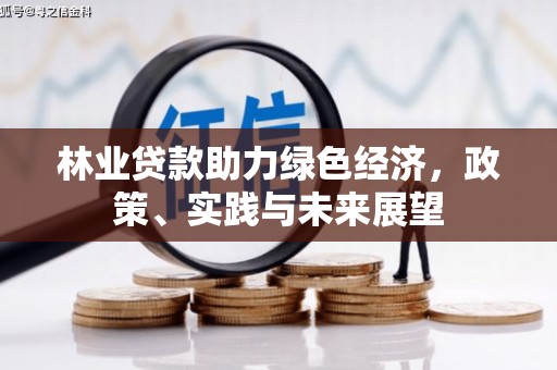 盐湖林业贷款助力绿色经济，政策、实践与未来展望