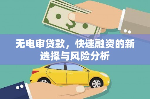 盐湖无电审贷款，快速融资的新选择与风险分析