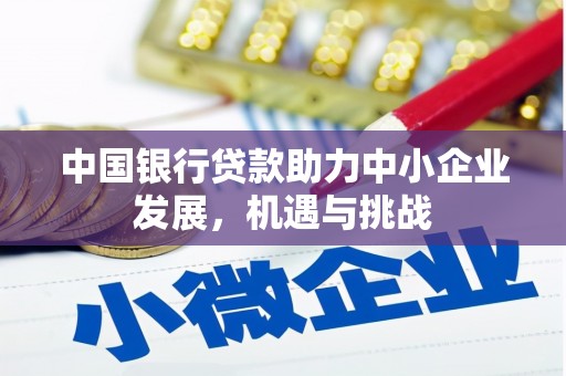 盐湖中国银行贷款助力中小企业发展，机遇与挑战