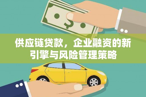 盐湖供应链贷款，企业融资的新引擎与风险管理策略