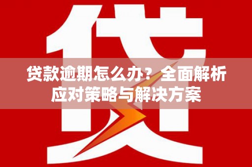盐湖贷款逾期怎么办？全面解析应对策略与解决方案