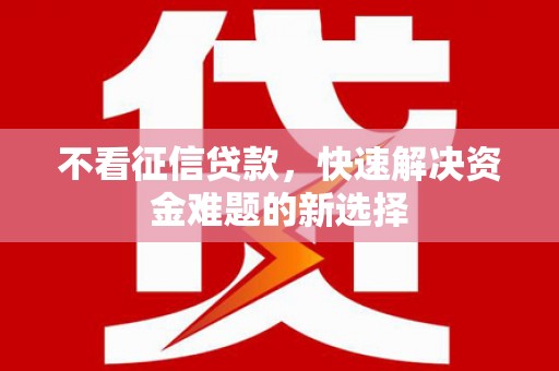 盐湖不看征信贷款，快速解决资金难题的新选择