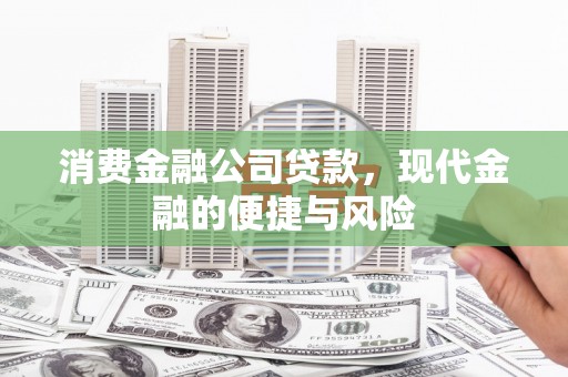 盐湖消费金融公司贷款，现代金融的便捷与风险