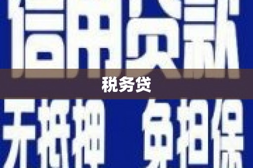 盐湖税务贷