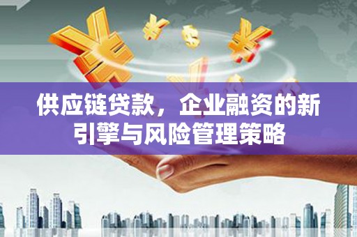 盐湖供应链贷款，企业融资的新引擎与风险管理策略