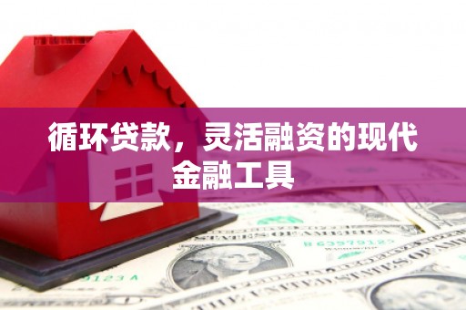 盐湖循环贷款，灵活融资的现代金融工具