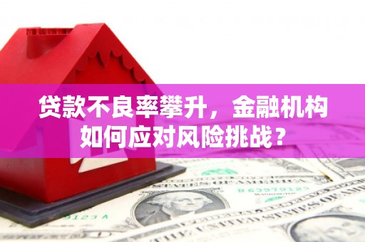 盐湖贷款不良率攀升，金融机构如何应对风险挑战？