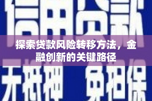 盐湖探索贷款风险转移方法，金融创新的关键路径