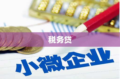 盐湖税务贷
