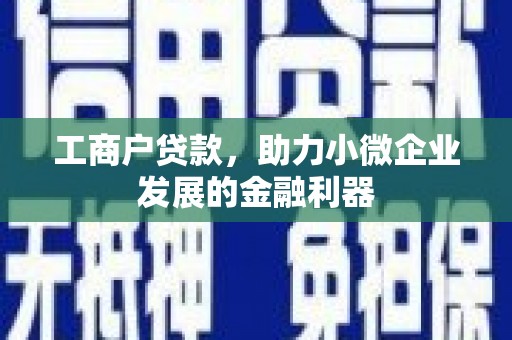 盐湖工商户贷款，助力小微企业发展的金融利器