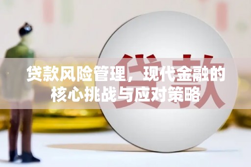 盐湖贷款风险管理，现代金融的核心挑战与应对策略