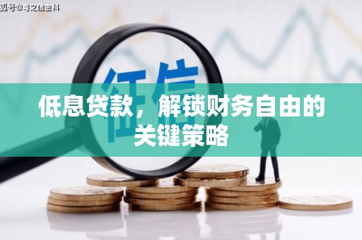 盐湖低息贷款，解锁财务自由的关键策略