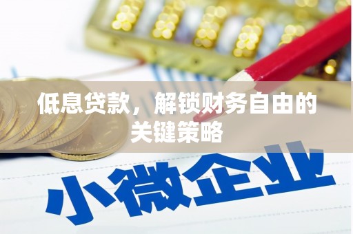 盐湖低息贷款，解锁财务自由的关键策略
