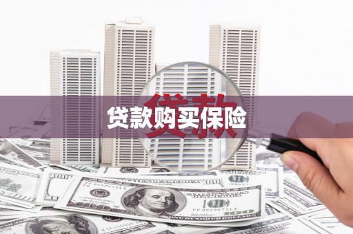盐湖贷款购买保险