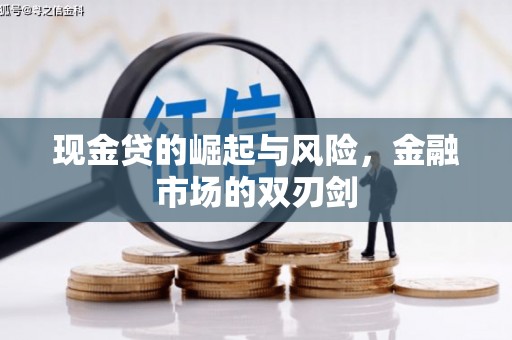 盐湖现金贷的崛起与风险，金融市场的双刃剑
