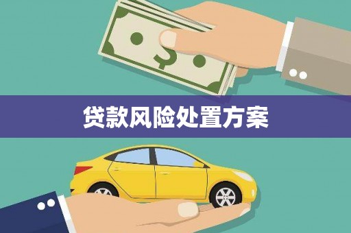 盐湖贷款风险处置方案