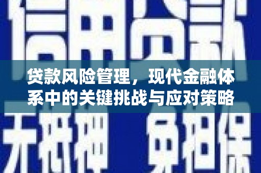 盐湖贷款风险管理，现代金融体系中的关键挑战与应对策略