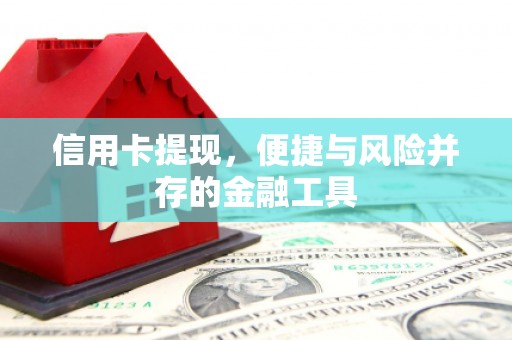 盐湖信用卡提现，便捷与风险并存的金融工具