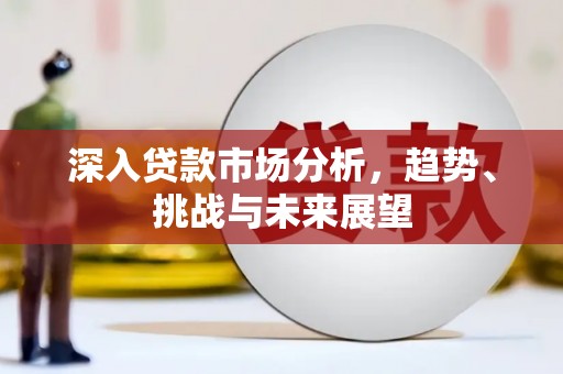 盐湖深入贷款市场分析，趋势、挑战与未来展望