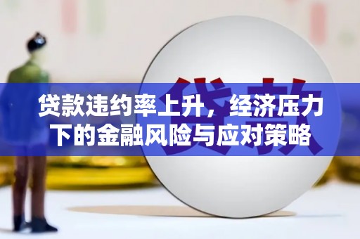 盐湖贷款违约率上升，经济压力下的金融风险与应对策略