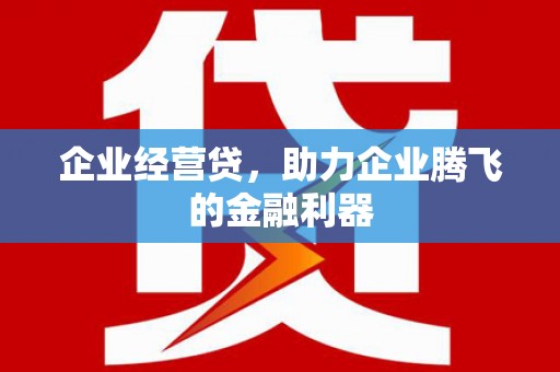 盐湖企业经营贷，助力企业腾飞的金融利器