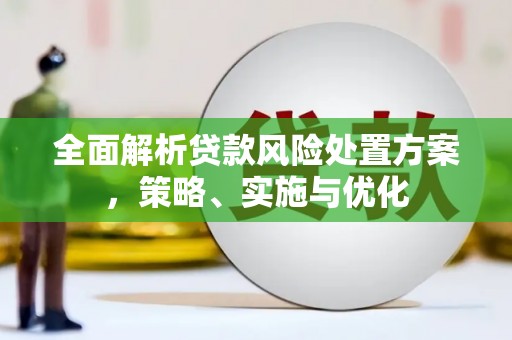 盐湖全面解析贷款风险处置方案，策略、实施与优化