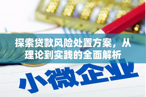 盐湖探索贷款风险处置方案，从理论到实践的全面解析