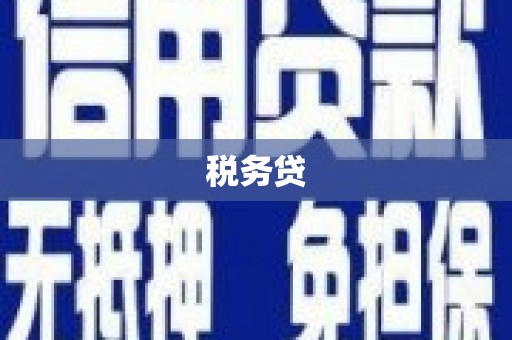 盐湖税务贷