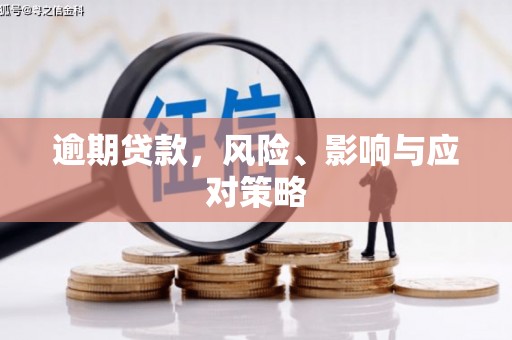 盐湖逾期贷款，风险、影响与应对策略